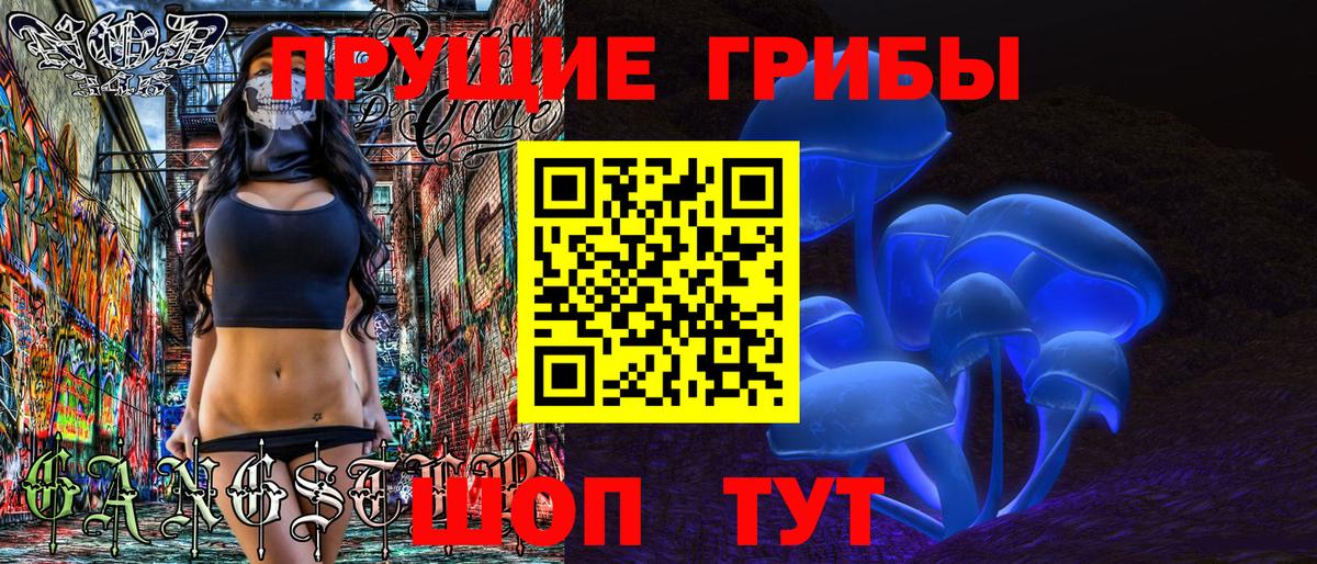 Псилоцибиновые грибы GOLDEN TEACHER Саки