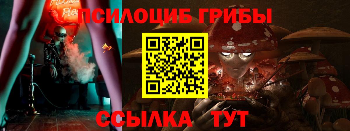 Галлюциногенные грибы MAGIC MUSHROOMS  Вход с VPN  Саки  Галлюциногенные грибы прущие грибы 